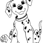 1462_cucciolo_dalmata