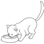 DIBUJOS DE GATOS PARA PINTAR 1636_gato25252520beb25252520leite.gif