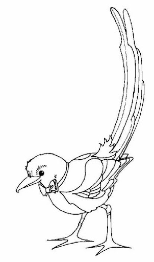 Magpie_BW.jpg