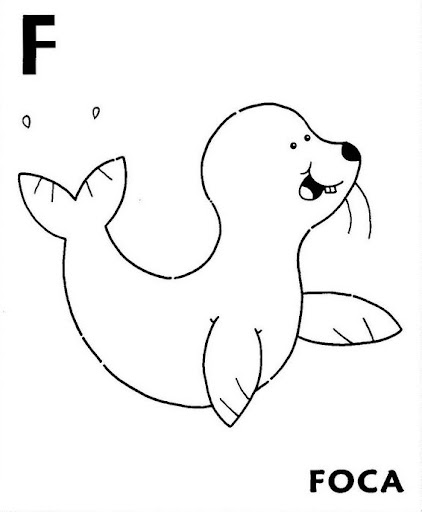 foca.jpg
