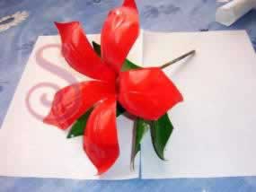 flor_pascua_jpg.jpg