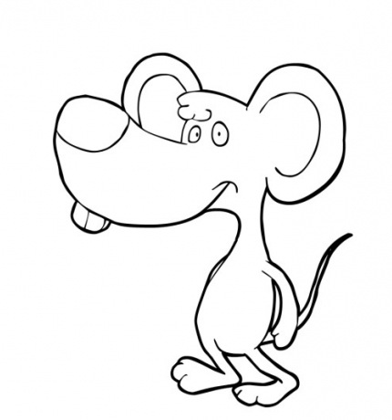 raton-t13850.jpg