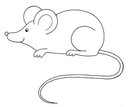 zviratka-mys.jpg
