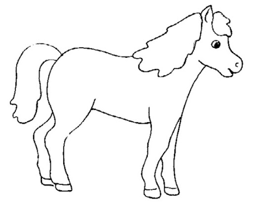 cavallo-1.jpg