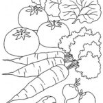 DIBUJOS DE VERDURAS PARA PINTAR verduras para pintar